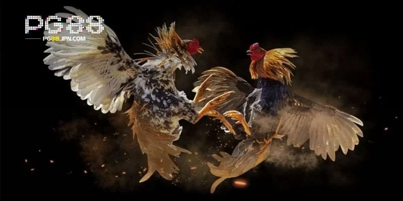 Các bước bắt buộc để đảm bảo tính công bằng và an toàn